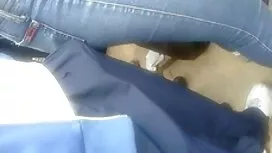 一時間の古いコック 女性 向け ソフト  ...