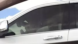 パイパンマンコ 女性 用 の アダルト  ...