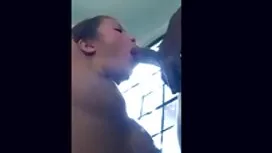 メキシコの黒コックジャック 女性 用 セ ...