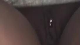 いいえ初心者の猫は停戦しません 女性 向 ...