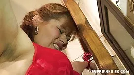 トマトのような白い皮をむいた北欧の赤い仕 ...