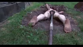 古いは、ヨーグルトの渇望で構成されていま ...